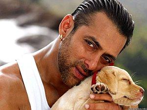 Les 13 acteurs Bollywood les plus actifs en 2010 (1/2) salman-khan-78h.jpg