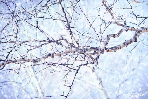 Envies hivernales il_570xN.186716606.jpg