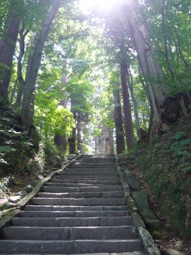 Le chemin et le but alimentation,cuisine,nutrition,comportement alimentaire