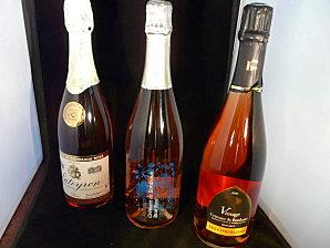 Apéro Bordeaux P1040976.JPG