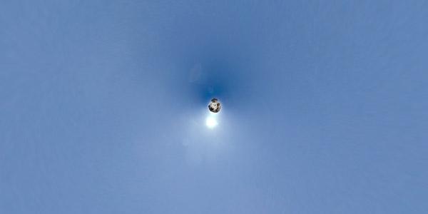 La vérité s’installe toujours en premier. Petites Histoires Inédites en Libania: Cedrus Libania