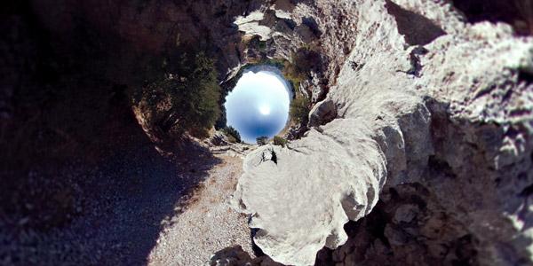 delà des montagnes, un autre monde Petites Histoires Inédites en Libania: Cedrus Libania
