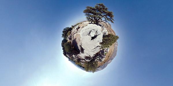 10 mètres de hauteur Petites Histoires Inédites en Libania: Cedrus Libania