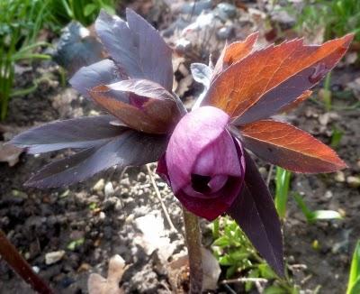 Petit à petit, on gagne du jour...Déjà ça, ça ... Petit à petit, on gagne du jour...Déjà ça, ça ...