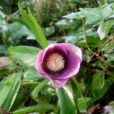 Petit à petit, on gagne du jour...Déjà ça, ça ... Petit à petit, on gagne du jour...Déjà ça, ça ...