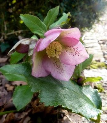 Petit à petit, on gagne du jour...Déjà ça, ça ... Petit à petit, on gagne du jour...Déjà ça, ça ...