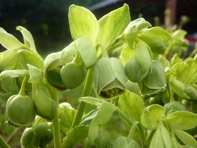 Petit à petit, on gagne du jour...Déjà ça, ça ... Petit à petit, on gagne du jour...Déjà ça, ça ...