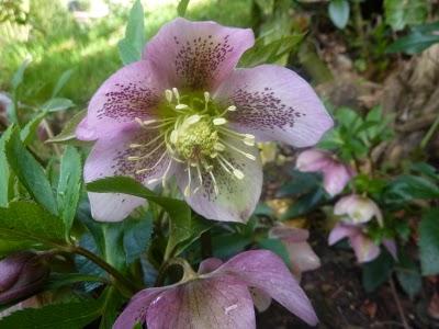 Petit à petit, on gagne du jour...Déjà ça, ça ... Petit à petit, on gagne du jour...Déjà ça, ça ...