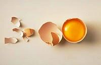 Une fécondation bien inégale. Une fécondation bien inégale.