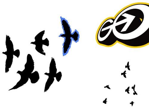 50 tutoriels After Effects pour les animateurs Des oiseaux animés avec After Effects