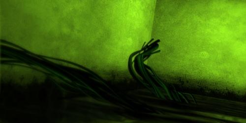 50 tutoriels After Effects pour les animateurs Vignes 3D qui poussent