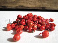 noix de saint jack fenouil curcuma pommes fondantes baies roses baies_roses.jpg