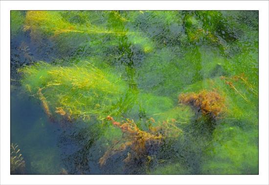 A la rencontre des lisants Jardins de la Fontaine, Nîmes, lecture, liseuse, agaves, nymphée, canal