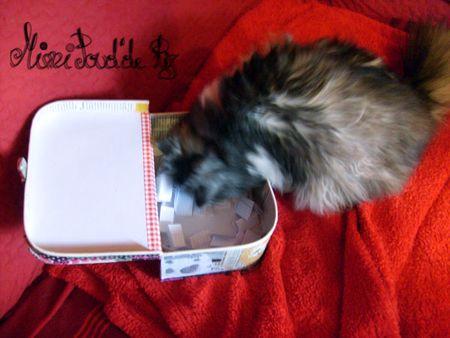 Résultat du tirage paluche_5