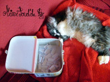 Résultat du tirage paluche_3