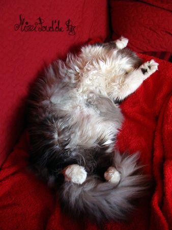 Résultat du tirage paluche_10