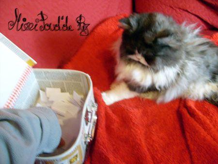 Résultat du tirage paluche_4