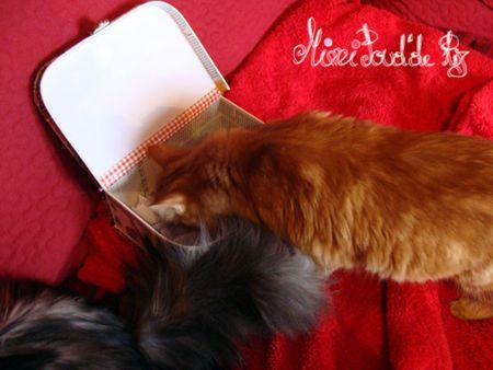 Résultat du tirage paluche_8