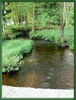 Randonnée au lac des Settons Randonnée au lac des Settons