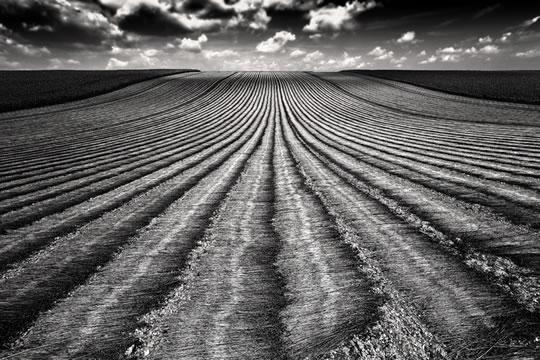 ikaune Sélection Darqroom Pixfan #8