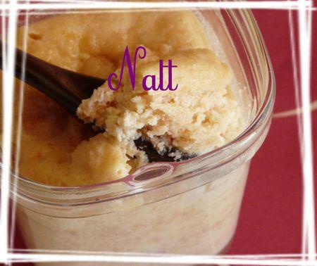 Pudding italien Multi Délices pudding_italien_2