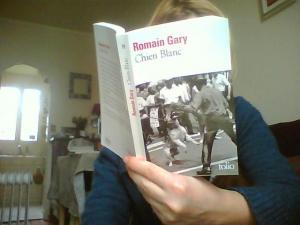 Chien blanc – Romain Gary