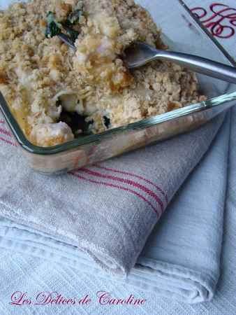 Poulet, épinard et mozarella sous un crumble parmesan-flocons d'avoine DSC03803