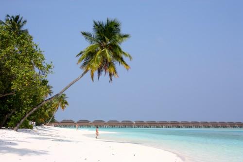 De retour du paradis (the end) ... IMG_1829.JPG