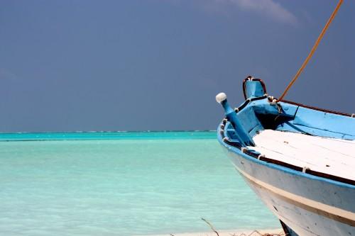 De retour du paradis (the end) ... IMG_1742.JPG