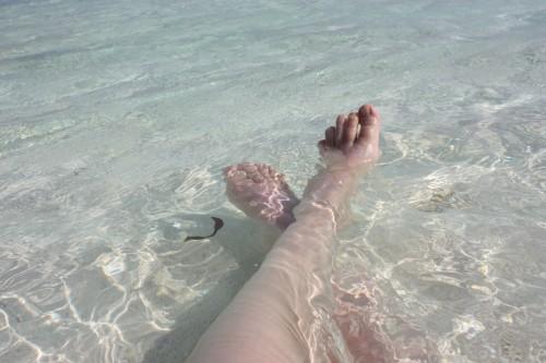 De retour du paradis (the end) ... IMG_1833.JPG