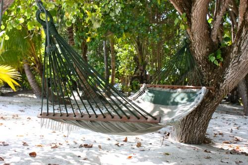 De retour du paradis (the end) ... IMG_1761.JPG