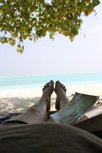 De retour du paradis (the end) ... IMG_1794.jpg