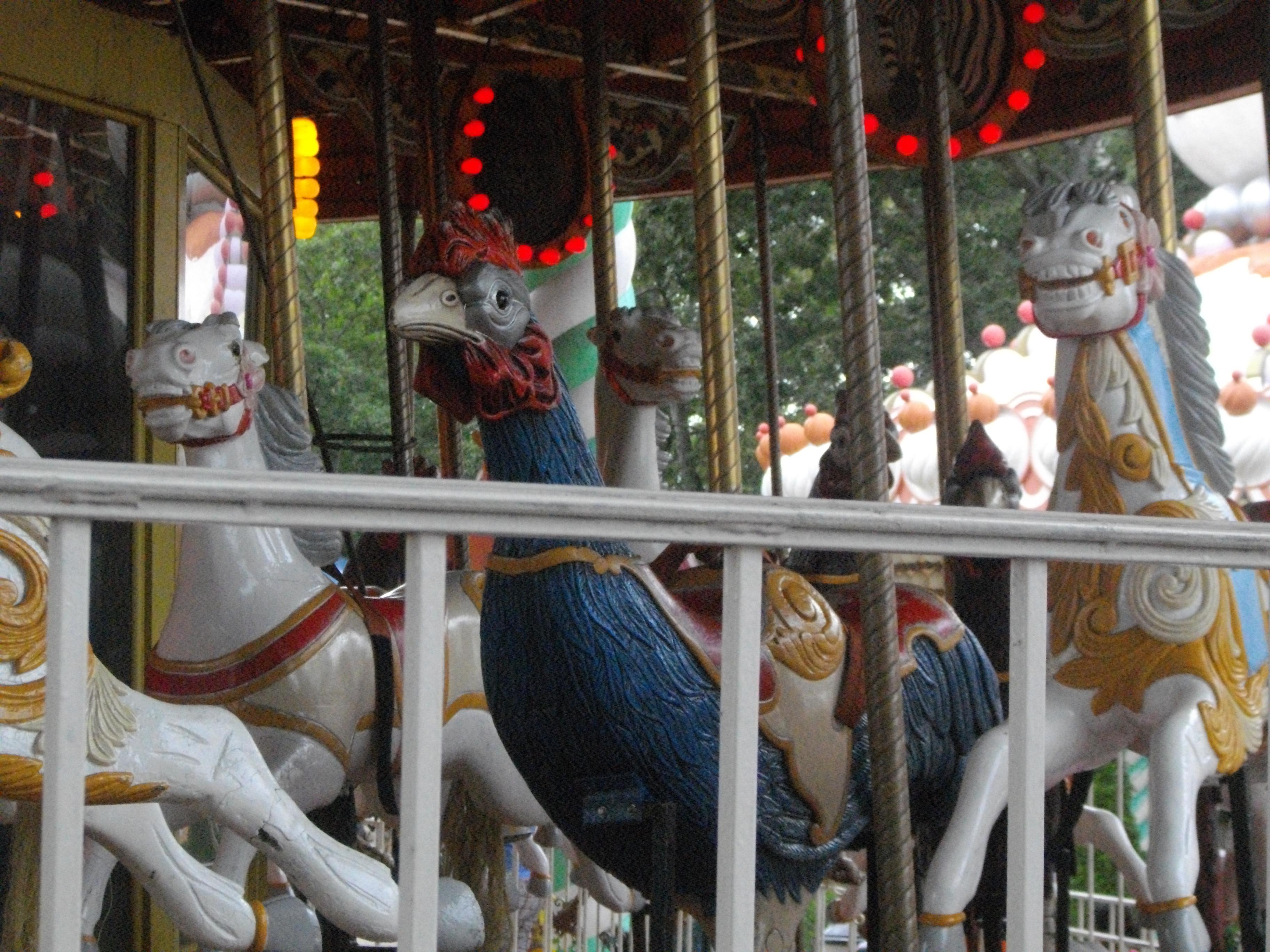 IMGP1181 Six Flags