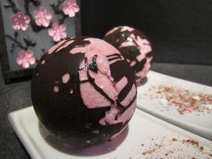 Mousse à la framboise en cage au chocolat IMG_9310