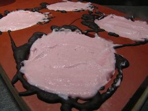 Mousse à la framboise en cage au chocolat IMG_9279