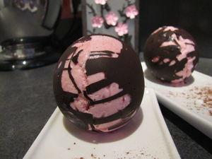 Mousse à la framboise en cage au chocolat IMG_9320