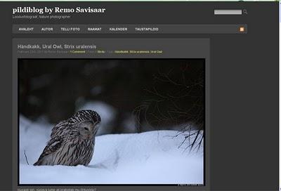 Pildiblog, blogue du photographe Remo Savisaar Pildiblog, blogue du photographe Remo Savisaar