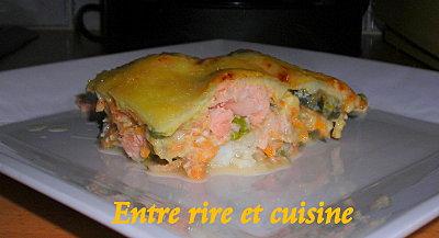 Gratin 2 poissons aux Légumes et béchamel au curry DSCN8767.JPG