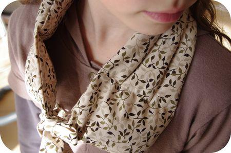 Remède maison IMGP3656