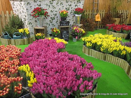 salon-agriculture-12-stand-tulipes.JPG