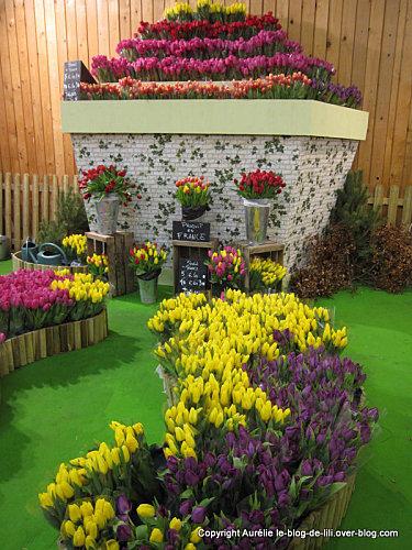 salon-agriculture-11-tulipes.JPG