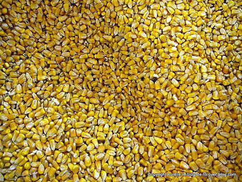 salon-agriculture-20-mais.JPG