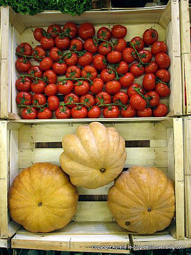 salon-agriculture-19-grappes-tomates.JPG
