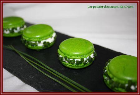 Le gagnant est ..... Macarons_ch_vre_ciboulette
