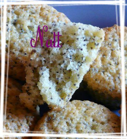 Bouchées au citron et graines de pavot bouch_es_au_citron_et_graines_de_pavot_2