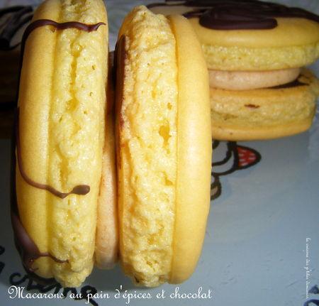 Macarons au pain d'épices et chocolat DSCF9380