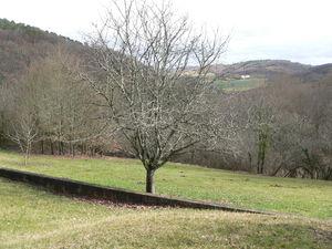 Les petits Babous sont adorables ! babousbis_015