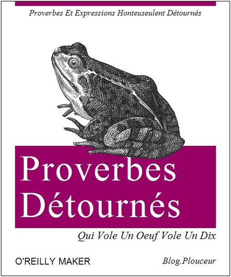 Le meilleur des proverbes détournés: le livre Le meilleur des proverbes détournés: le livre