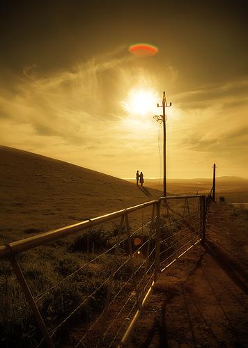 purplebaby444:suyhnc:yuiti:visitors (via clinton grobler)