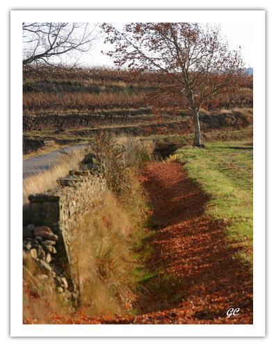 Au fil des jours undefined